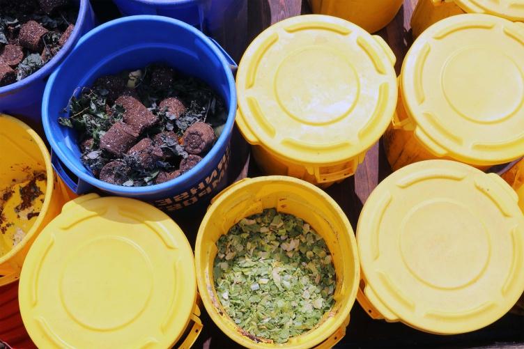 一张黄色和蓝色水桶的照片, 有些带盖子, 用可堆肥的废物, 准备被丢弃在金曼研究农场.