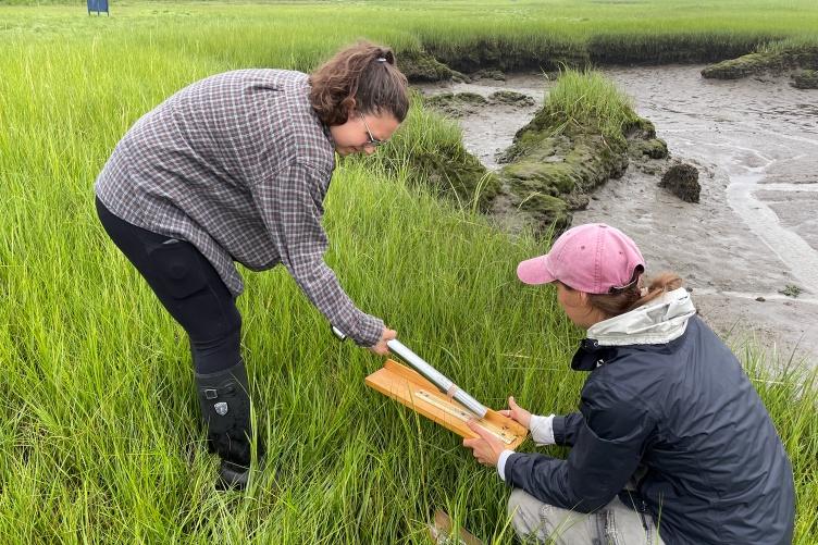 两名研究人员站在河口观察土壤样本中的微塑料.